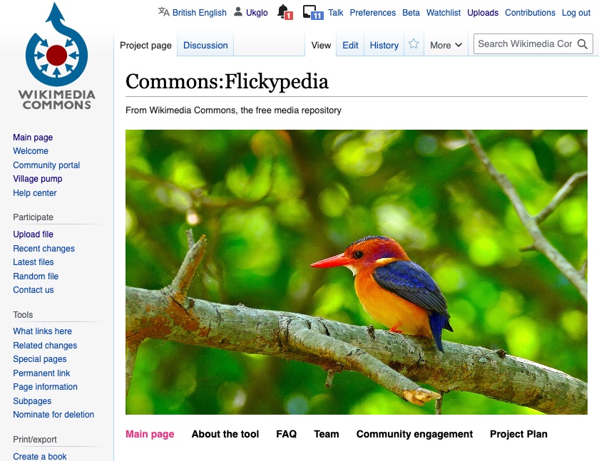 screenshot of the main Flickypedia project page on Wikimedia Commons showing a photograph of a brightly colored bird
