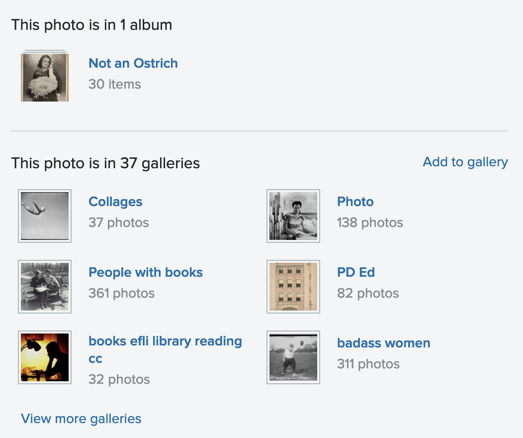 screenshot from flickr.com showing six of the 37 galleries this photo has been added to. It is also in one album called 
