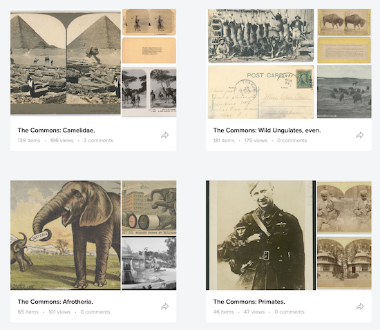 screenshot from wakethesun's gallery page showing for Commons galleries each of which focus on a different type of animal: primates, elephants, camels and "wild ungulates"