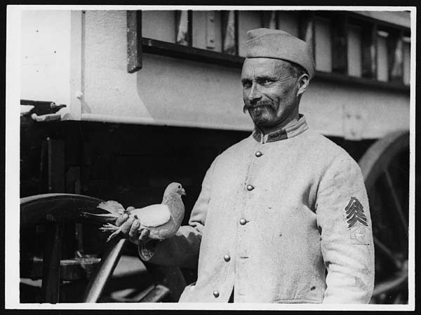 a man in a military uniform and a bushy mustache holds a piegon in his hand