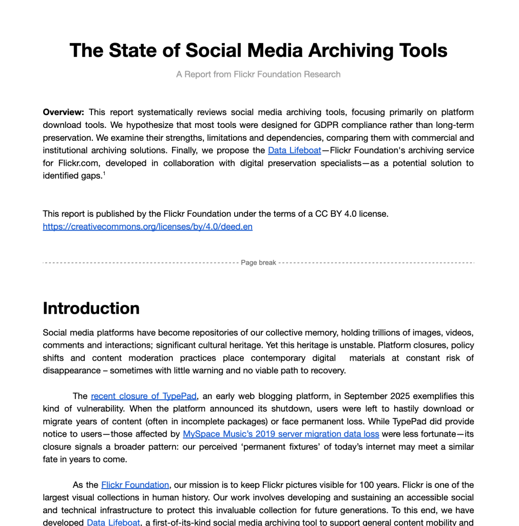 Screenshot of a Google doc (that is the report)